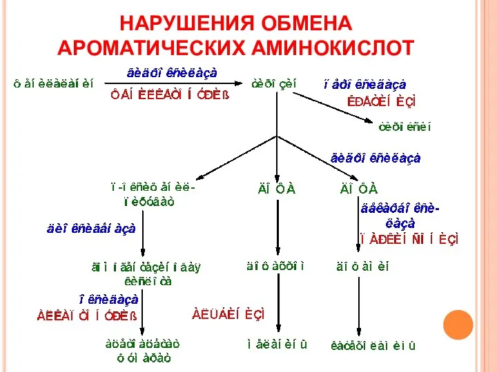 НАРУШЕНИЯ ОБМЕНА АРОМАТИЧЕСКИХ АМИНОКИСЛОТ