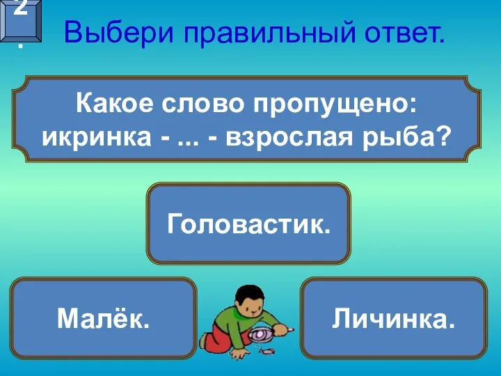 Какое слово пропущено: икринка - ... - взрослая рыба? Выбери правильный ответ. Малёк. Головастик. Личинка. 2.