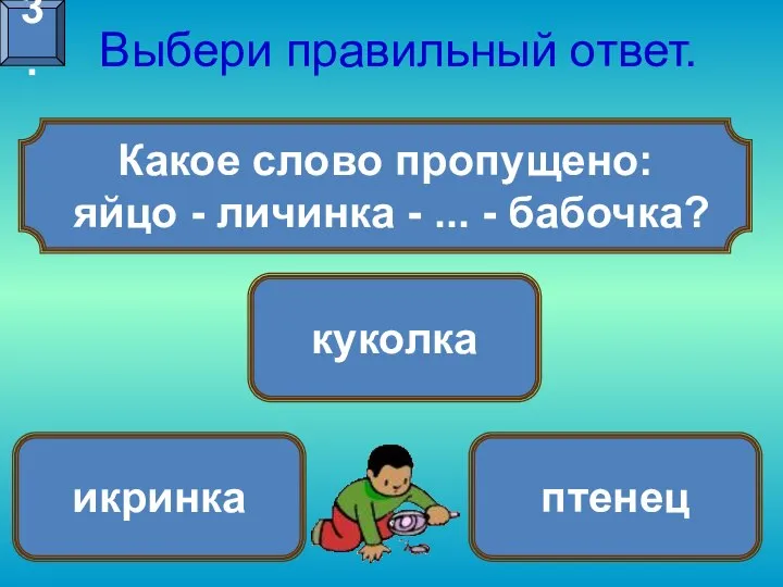 Какое слово пропущено: яйцо - личинка - ... - бабочка? Выбери