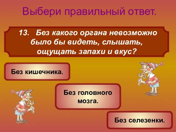 13. Без какого органа невозможно было бы видеть, слышать, ощущать запахи