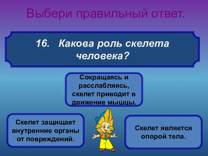 16. Какова роль скелета человека? Выбери правильный ответ. Скелет защищает внутренние