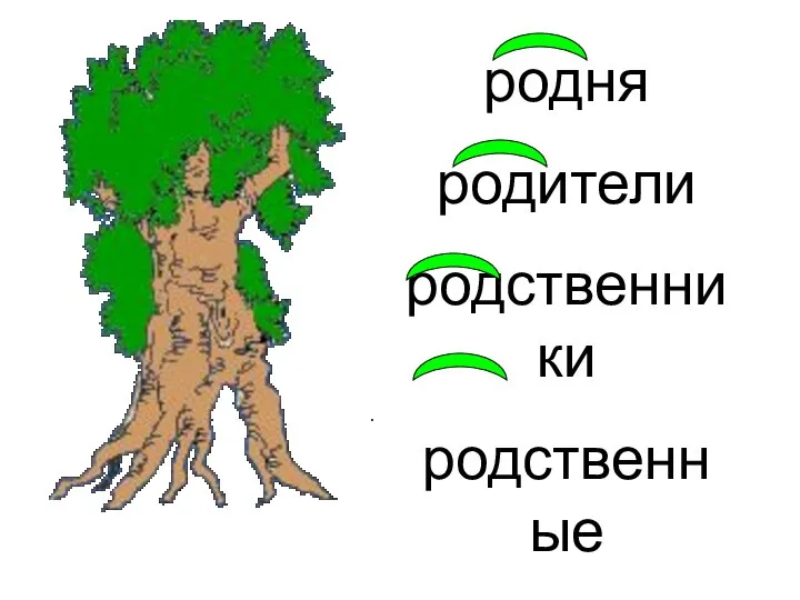 родня родители родственники родственные