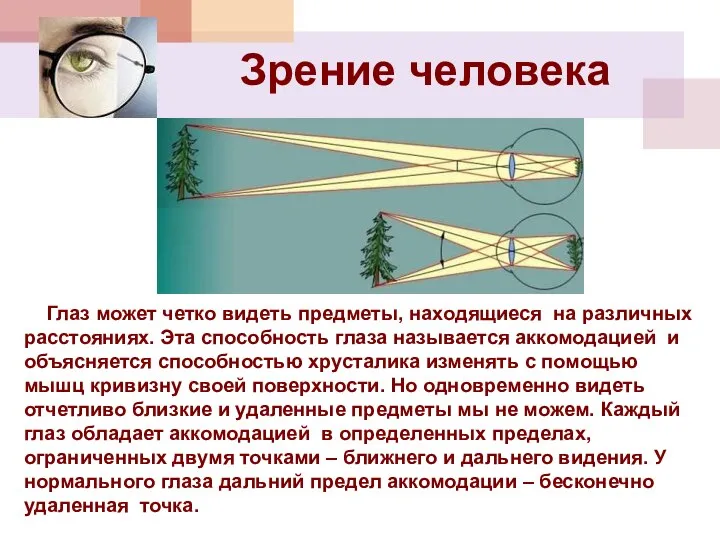 Зрение человека Глаз может четко видеть предметы, находящиеся на различных расстояниях.