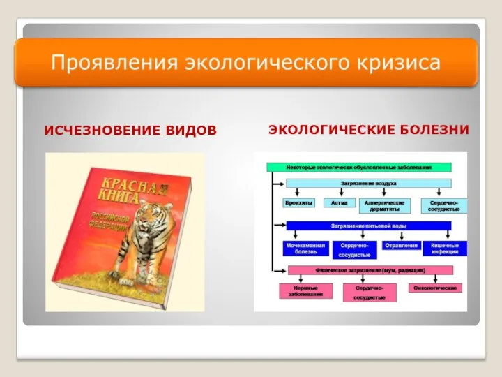 ИСЧЕЗНОВЕНИЕ ВИДОВ ЭКОЛОГИЧЕСКИЕ БОЛЕЗНИ