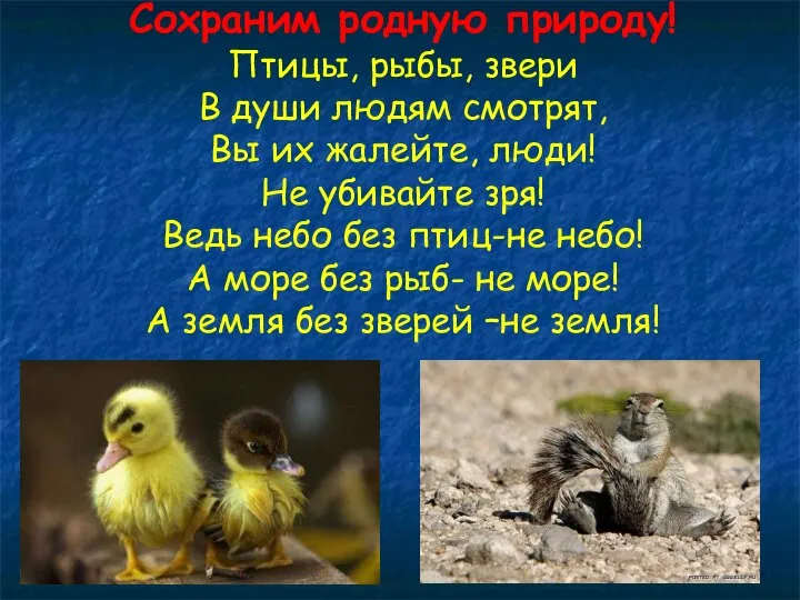 Сохраним родную природу! Птицы, рыбы, звери В души людям смотрят, Вы