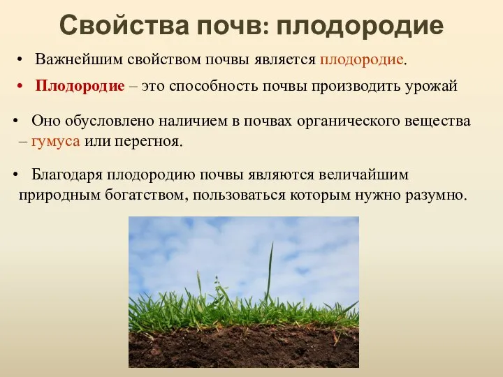 Свойства почв: плодородие Оно обусловлено наличием в почвах органического вещества –