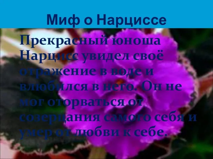 Миф о Нарциссе Прекрасный юноша Нарцисс увидел своё отражение в воде