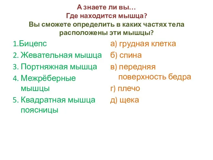 А знаете ли вы… Где находится мышца? Вы сможете определить в