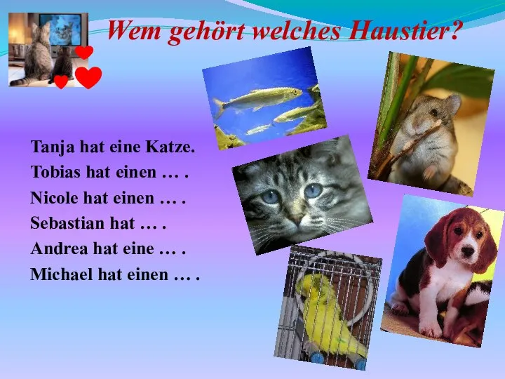 Wem gehört welches Haustier? Tanja hat eine Katze. Tobias hat einen