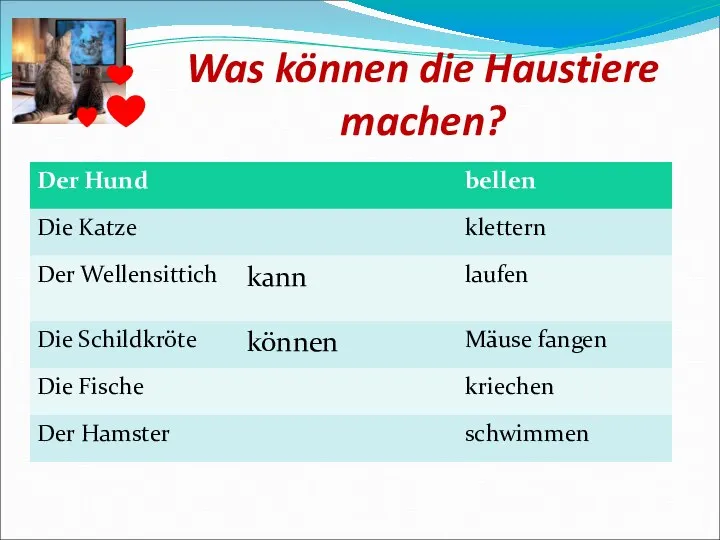 Was können die Haustiere machen?