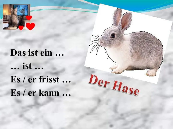 Das ist ein … … ist … Es / er frisst