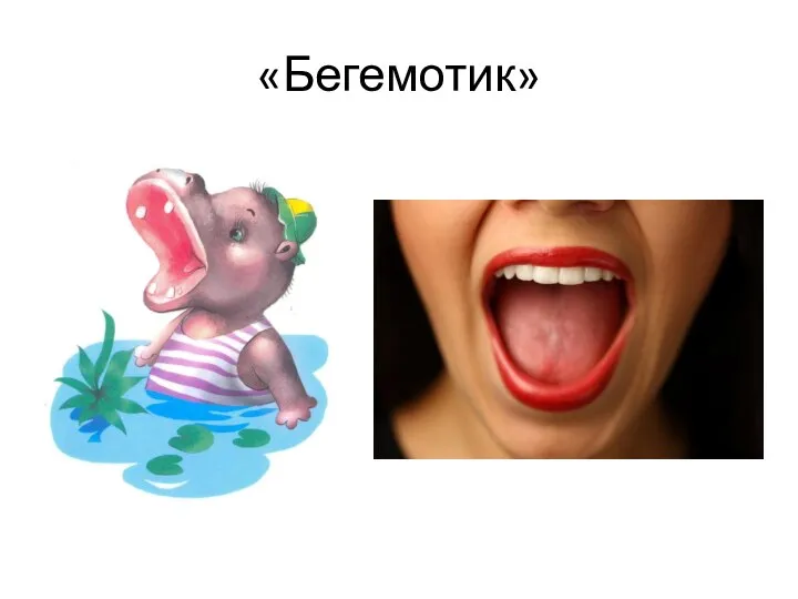 «Бегемотик»