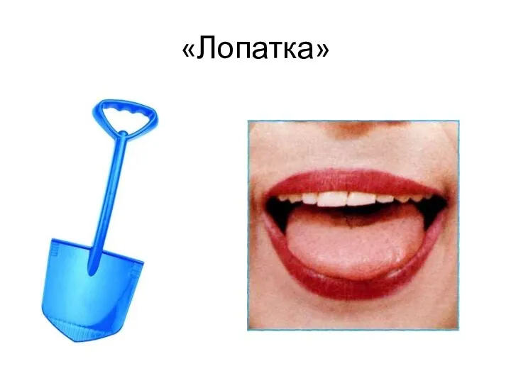 «Лопатка»