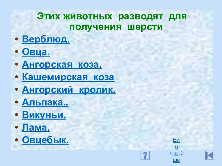 Этих животных разводят для получения шерсти Верблюд. Овца. Ангорская коза. Кашемирская