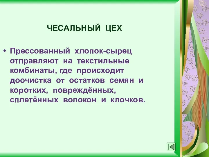 ЧЕСАЛЬНЫЙ ЦЕХ Прессованный хлопок-сырец отправляют на текстильные комбинаты, где происходит доочистка