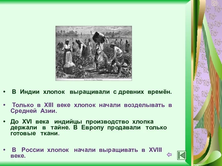 До XVI века индийцы производство хлопка держали в тайне. В Европу