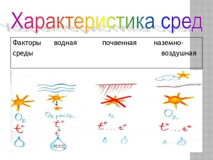 Характеристика сред Факторы водная почвенная наземно- среды воздушная