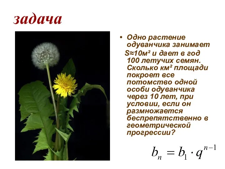 задача Одно растение одуванчика занимает Ѕ≈10м² и дает в год 100