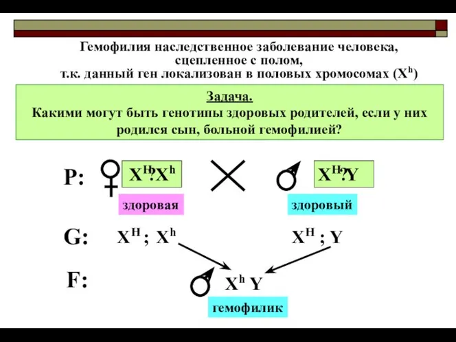 ? ? Задача. Какими могут быть генотипы здоровых родителей, если у