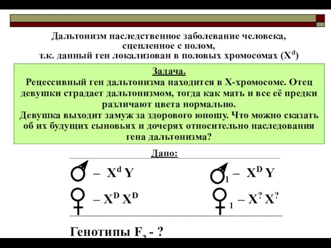 Задача. Рецессивный ген дальтонизма находится в Х-хромосоме. Отец девушки страдает дальтонизмом,