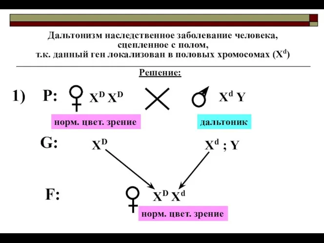 Дальтонизм наследственное заболевание человека, сцепленное с полом, т.к. данный ген локализован