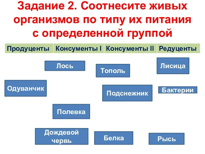 Задание 2. Соотнесите живых организмов по типу их питания с определенной