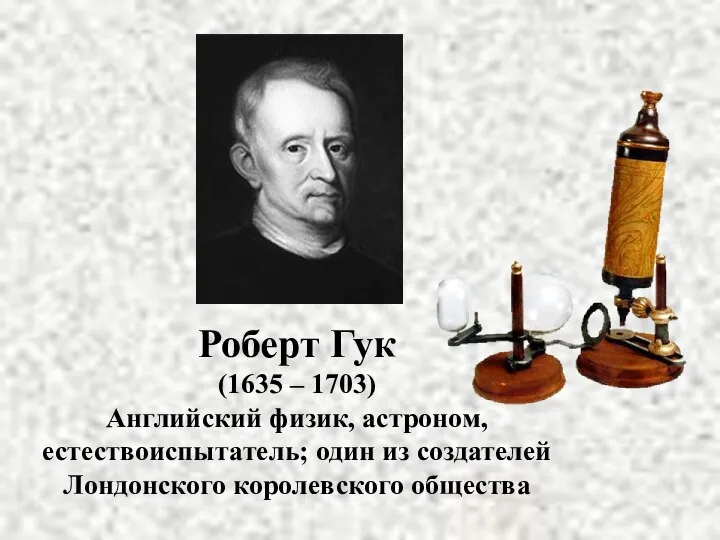 Роберт Гук (1635 – 1703) Английский физик, астроном, естествоиспытатель; один из создателей Лондонского королевского общества