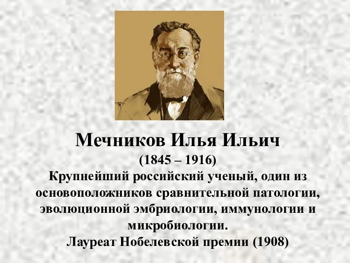 Мечников Илья Ильич (1845 – 1916) Крупнейший российский ученый, один из