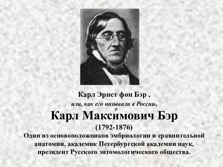 Карл Эрнст фон Бэр , или, как его называли в России,