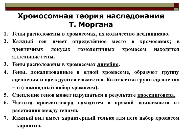 Хромосомная теория наследования Т. Моргана Гены расположены в хромосомах, их количество