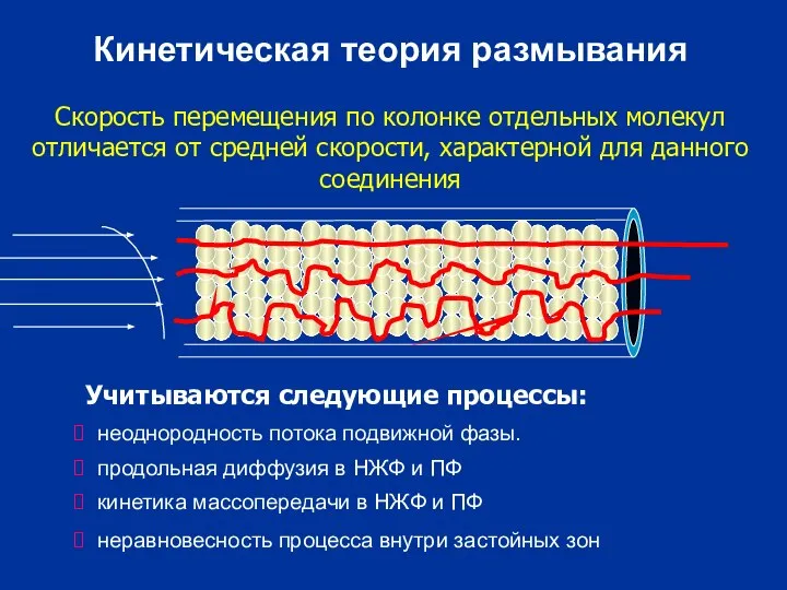 Кинетическая теория размывания Скорость перемещения по колонке отдельных молекул отличается от