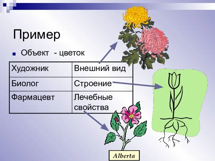 Пример Объект - цветок