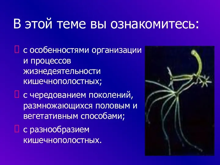 В этой теме вы ознакомитесь: с особенностями организации и процессов жизнедеятельности