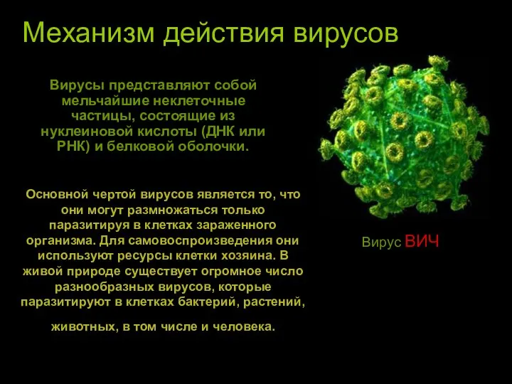 Механизм действия вирусов Вирусы представляют собой мельчайшие неклеточные частицы, состоящие из
