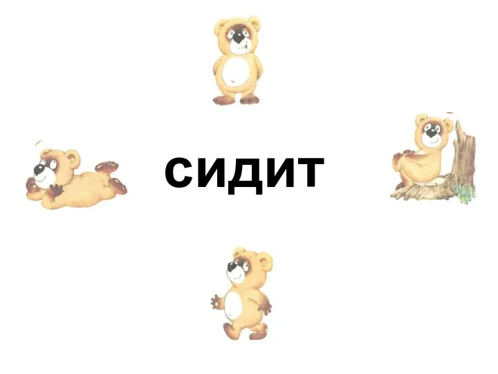 сидит