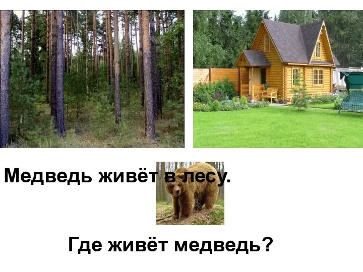 Где живёт медведь? Медведь живёт в лесу.