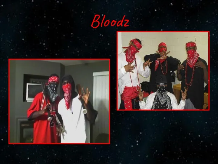 Bloodz