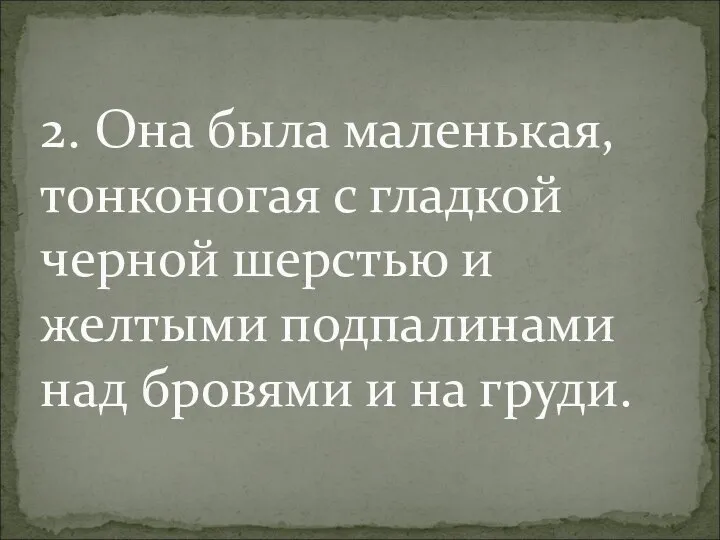 2. Она была маленькая, тонконогая с гладкой черной шерстью и желтыми