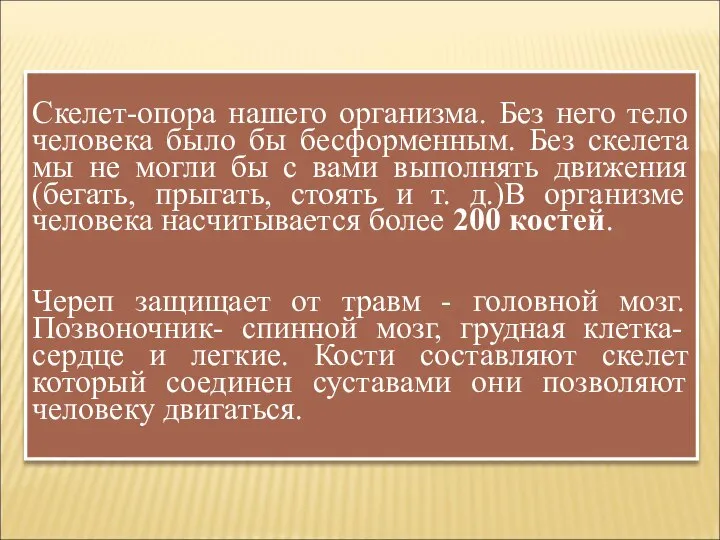 Скелет-опора нашего организма. Без него тело человека было бы бесформенным. Без