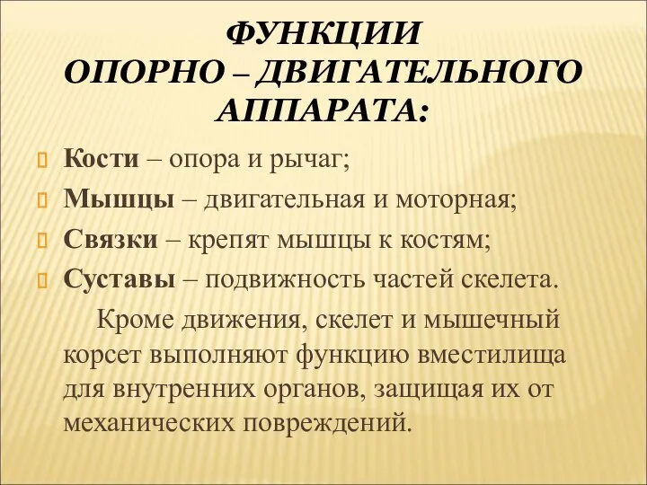 ФУНКЦИИ ОПОРНО – ДВИГАТЕЛЬНОГО АППАРАТА: Кости – опора и рычаг; Мышцы