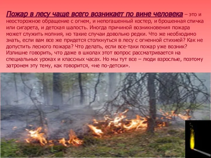 Пожар в лесу чаще всего возникает по вине человека – это