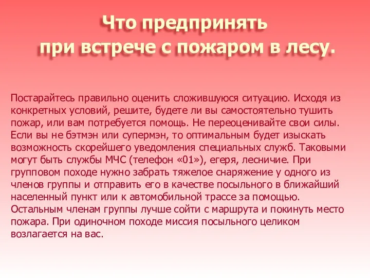 Что предпринять при встрече с пожаром в лесу. Постарайтесь правильно оценить