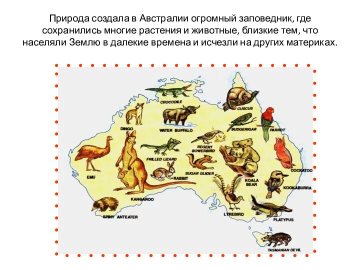 Природа создала в Австралии огромный заповедник, где сохранились многие растения и