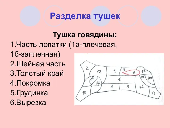 Разделка тушек Тушка говядины: 1.Часть лопатки (1а-плечевая, 1б-заплечная) 2.Шейная часть 3.Толстый край 4.Покромка 5.Грудинка 6.Вырезка