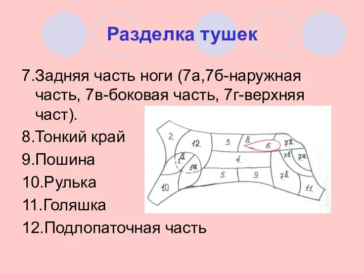 Разделка тушек 7.Задняя часть ноги (7а,7б-наружная часть, 7в-боковая часть, 7г-верхняя част).