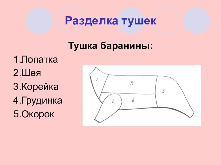 Разделка тушек Тушка баранины: 1.Лопатка 2.Шея 3.Корейка 4.Грудинка 5.Окорок