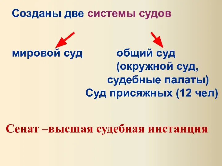 Созданы две системы судов мировой суд общий суд (окружной суд, судебные