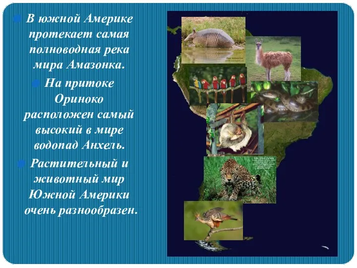 В южной Америке протекает самая полноводная река мира Амазонка. На притоке