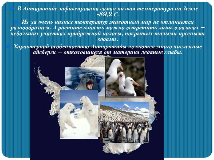 В Антарктиде зафиксирована самая низкая температура на Земле -89,2°С. Из-за очень