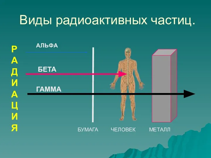 Виды радиоактивных частиц. РАДИАЦИЯ АЛЬФА БЕТА ГАММА БУМАГА ЧЕЛОВЕК МЕТАЛЛ